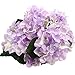 Felice Arts Artificial Flowers 18