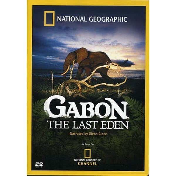 Amazon.com: National Geographic: Last Stand of the Great Bear