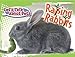 Raising Rabbits (Let's Talk About Pets) by 