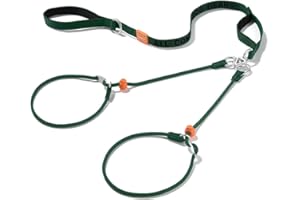 Howgo Double Slip Leash Slip Lead with Two Handles| Dual Dog Slip Lead for 2 Dogs,360° Swivel No Tangle | Dog Training Collar | Double Clip Leash Coupler and Splitter (Green, 6FT)