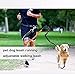 Hands Free Dog Leash - SGM Adjustable Leash and Belt for Running Walking with Retractable Reflective Bungee cord and Dual Handle + Dog Clicker (Leash - 4 to 6 feet, Waist - 23