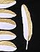 BABEYOND 42 Pcs 1920s Gatsby Gold Dipped Feather Natural Décor Glitter Feather for 20s Party Decoration Wedding Decoration (White & Gold)