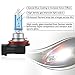 AGPTEK H11 Halogen Headlight Bulb, Foglight PGJ19-2 12V/55W 4800K, 2 Pack