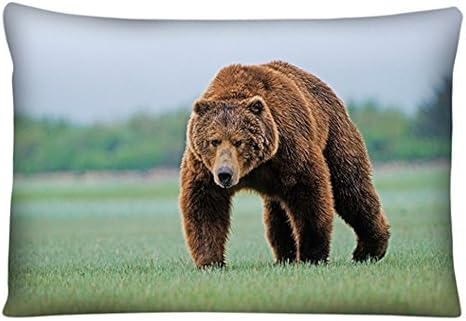 Amazon ドアマットおかしい茶色の熊グリズリーベアーようこそホームラグ 31 5 X 19 7 L X W 玄関マット オンライン通販