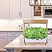 Hydroponics Growing System Kit LED Plant Grow Light, Hydroponics Indoor Gardening Kit Herb Seed Pod Kit, Nutrients, Seeds Not Included (8pot)thumb 2