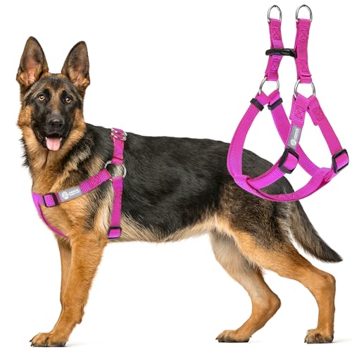 AKC Step-in Dog Harness – Adjustable Solid Color Vest with Dual D-Rings, No-Pul…