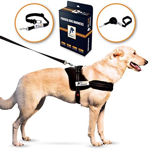Padded Dog Harness Set: No More Struggling! Easy &amp; Full Control With a Durable No-Pull Harness, Comfortable for Your Pet, Black - Large. Reflective &amp; Washable. Includes a Leash and a Car Seat-Belt