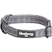 Blueberry Pet 6 Colors Safe & Comfy 3M Reflective Adjustable Dog Collar - Neutral Gray, Medium, Neck 14.5"-20" primary