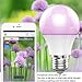 Smart Bulb, Wigbow WI-FI Led Light Bulb Color Changing 5000K [A19 7W] 70Watts Equivalent. Mood Light Bulbs that Compatible with Alexa/Google Home [Dimmable] [Remote Control] [No HUB].