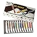 Daveliou Oil Paints Set – 32ml x 12 Color Paint Tubes – Painting Kit for Beginners Students and Artists