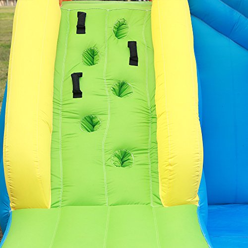 4 Doctor+Dolphin+Inflatable+Bounce+Bouncy