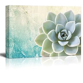 Abstract Succulent With Retro Background - Canvas Art