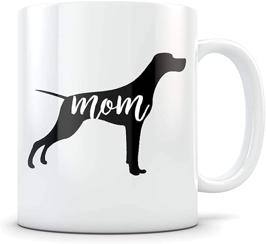 goldfish starter kit