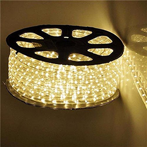 image for PYSICAL® PYSICAL 110V 2-Wire Waterproof LED Rope Light Kit for Backgr