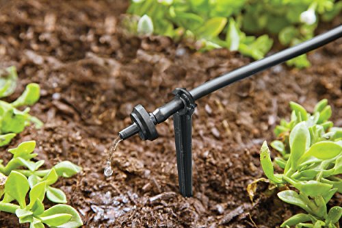 Raindrip R560DP Automatic Container and Hanging Baskets Kit (Certified Refurbished)