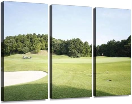Amazon Co Jp ゴルフ場 スポーツ 緑 屋外 風景 趣味 運動 空 晴れ レジャー グリーン ゴルフ 外 移動 野外 晴天 樹木 林 山 芝生 休日 乗り物ポスター パネル 現代壁の絵 壁掛け 部屋飾り 背景絵画 壁アート 完成品 3枚セット