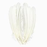 White Goose Feathers Bulk 10pcs,Natural Long 8-10