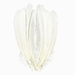 White Goose Feathers Bulk 10pcs,Natural Long 8-10