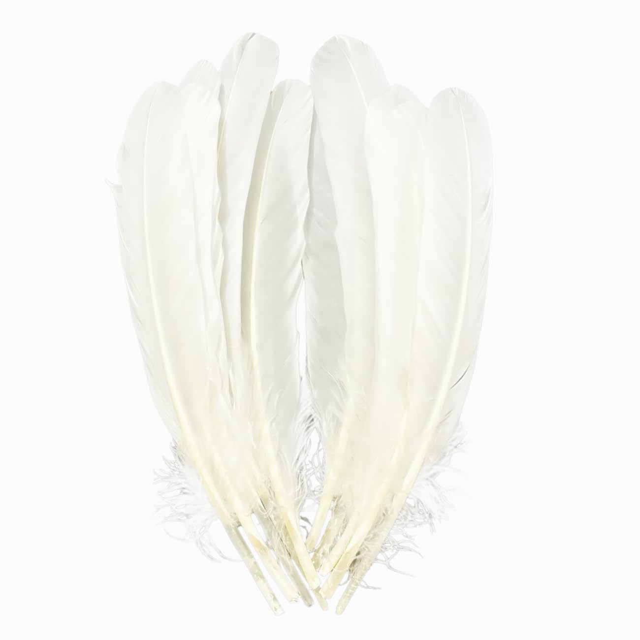 White Goose Feathers Bulk 10pcs,Natural Long 8-10