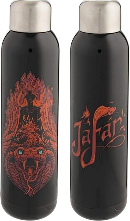 aladdin stainless steel water bottle