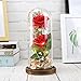MISBEST Beauty and The Beast Rose, Enchanted Rose Artificial Silk Rose Flower in Glass Dome with LED Light Wooden Base for Valentine's Day Wedding Anniversary Birthday Gift