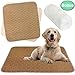 Paw Legend Washable Reusable Dog Pee Pads Super Absorbent (2 Pack) - Washable Reusable Puppy Training Pads | Quality Travel Pee Pads for Dogs | Absorbent and Odor Controlling