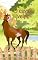 Livro O Cavalo veloz