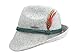 Essence Of Europe Gifts Men's Austrian Wool Hat W/Feather