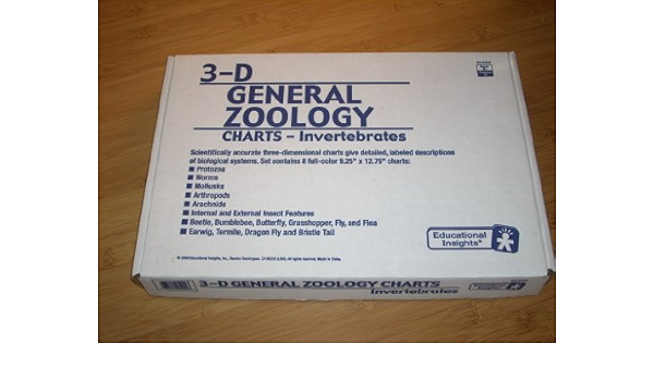 3 D Zoology Charts 9 25 X 12 75 Grades 4 Ages 9 Invertebrates Protozoa Worms Mollusks Arthropods Arachnids Beetle Bumblebee Butterfly Grasshopper Fly And Flea Earwig Termite Dragon Fly And Bristle Tail Educational