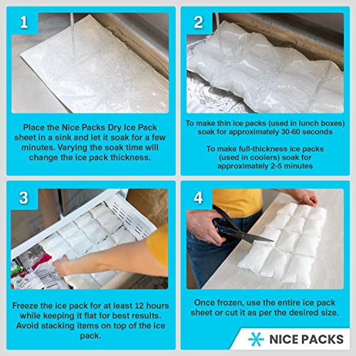 Nice Packs Dry Ice for Coolers Lunch Box Ice Packs Dry Ice for