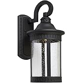 Forte 17101-04 LED Outdoor Light, Black