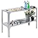Giantex Galvanized Steel Workbench Worktable Workstation Prepare Work Potting Table Two Tier Storage Shelf