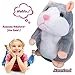 Talking Pet Hamster Electronic Animal Plush Toy - Mimics and Repeats After Words & Sounds for Kids Ages 4 - 100, Boys and Girls, Birthdays, Christmas by Neverland(Grey) (gara)