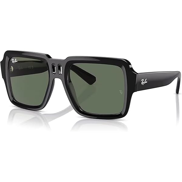 【美品】レイバン/Rayban RB4408 マゼラン 6729/1N MAGELLAN BIO-BASED Sunglasses in Transparent Light Brown and