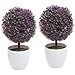 MyGift Tabletop Artificial Topiary Indoor Decor, Fake Plants Faux Purple Boxwood Ball Tree with White Planter Pots, Set of 2