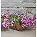 CobraCo Black Canterbury Floor Planter FLPLCB-B
