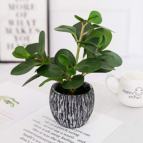 AlphaAcc Mini Potted Artificial Plants Real Looking Plastic Fiddle Leaf Fig Plant with Rustic Black Cement Planter for House Office Desk Decor