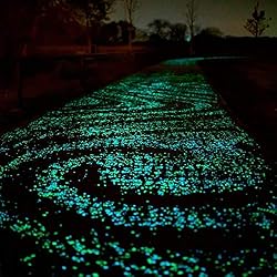 100Pcs Luminous Stones Glow in The Dark Garden