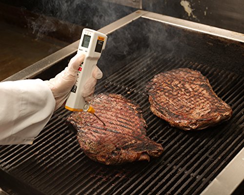 Fluke FP Plus FoodPro Plus Food Safety Thermometer, LCD Display, -31 Degrees to +525 Degrees F Temperature Range
