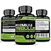 Premium Tribulus Terrestris - Male Performance Support - Promotes Reproductive Health - Encourages Healthy Workouts Via Nitric Acid Release - All Natural Supplement - 90 Capsules Per Bottle