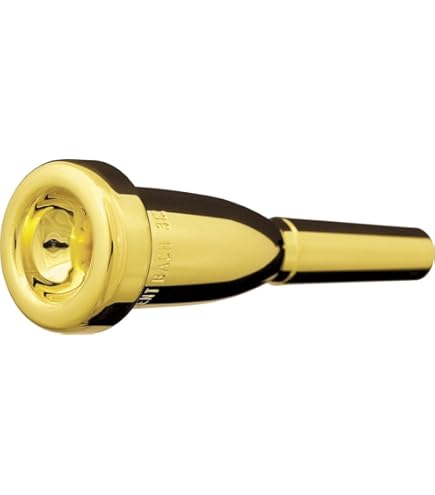 Amazon.com: Bach Standard Gold Trumpet Mouthpiece, 3C : Musical