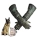 DAN Animal Handling Gloves For Cat Dog Bird Snake Parrot Lizard,Anti-bite/scratch Gardening Wild Animals Protection Gloves
