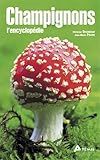 champignons l'encyclopedie by