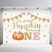 MEHOFOTO Little Pumpkin One Birthday Party Photo Background Banner Fall Autumn Our Little Pumpkin Girl Happy 1st Birthday Pink Gold Dots Backdrops Props for Cake Table Supplies 7x5ft