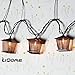 LIDORE 10 Counts Vintage Bronze Iron Nets Lanterns Plug-in String Lights. Great for Indoor/Outdoor Decoration. Best Ambience Decorative Lights. Warm White Glow.