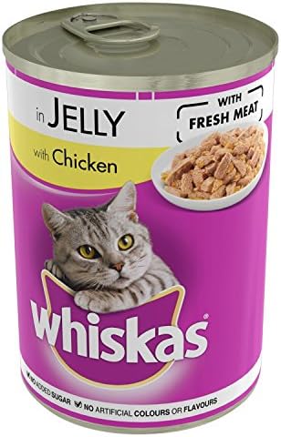 wet cat food for diabetic cats