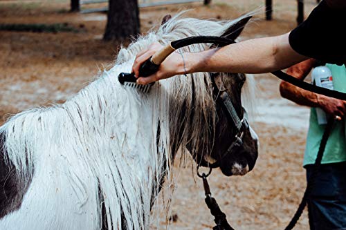 image for Aqua Comb for Horses - Instantly Wets Tail & Mane - Cleaning, Massager