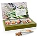 Tea Forte GARDEN HARVEST WHITE Single Steeps Organic White Tea Loose Leaf Tea Sampler, 15 Single Serve Pouches, Fresh Fruit and Herb Flavors