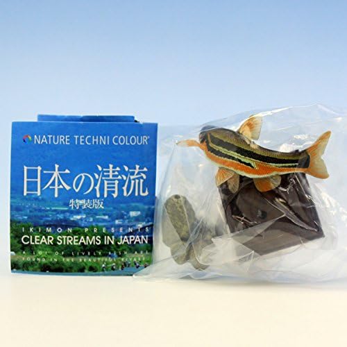 Amazon Co Jp ウグイ 日本の清流 特装版 ネイチャーテクニカラー Nature Techni Colour フィギュア グッズ ガチャ 奇譚クラブ ホビー 通販