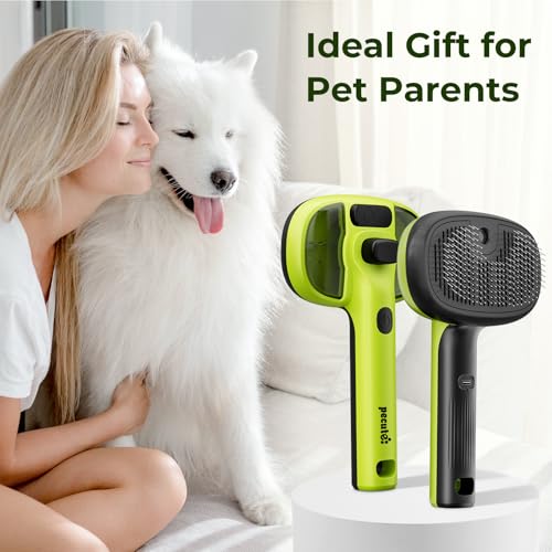 pecute Cat Steam Brush, Dog Steam Brush, Dense Mist and Fine Mist Function, No Heat, One Click Epilation, Long and Short Hair, Visible Water Tank, Green